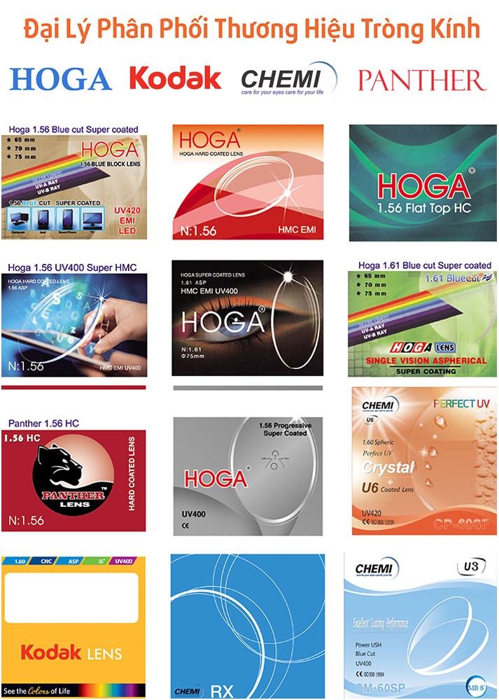 HOGA - Hình 2