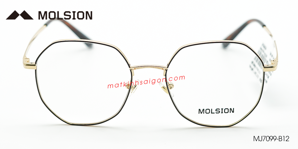 Gọng Kính Molsion MJ7099 B12 - Hình 3