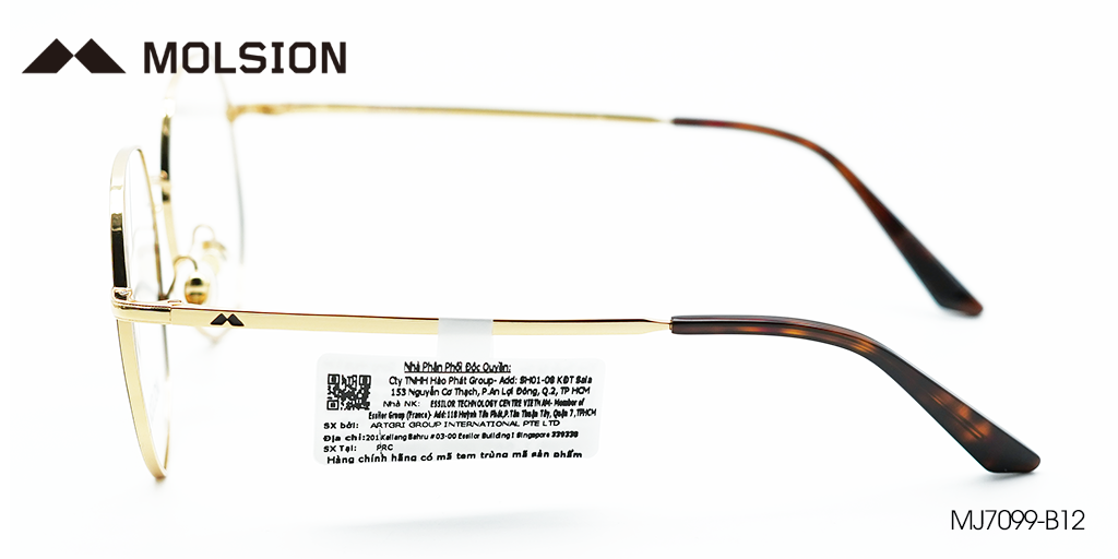 Gọng Kính Molsion MJ7099 B12 - Hình 5