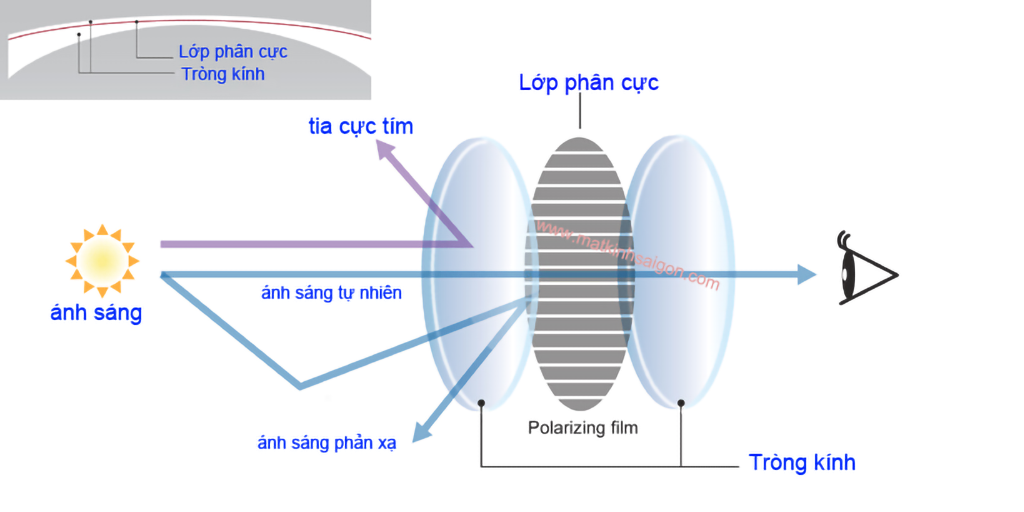 KÍNH MÁT NỮ MOLSION MS5023 B11 - Hình 4