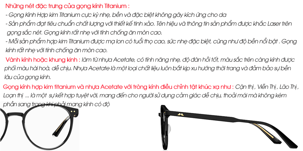 GỌNG KÍNH MOLSION MJ3008 B10 - Hình 6