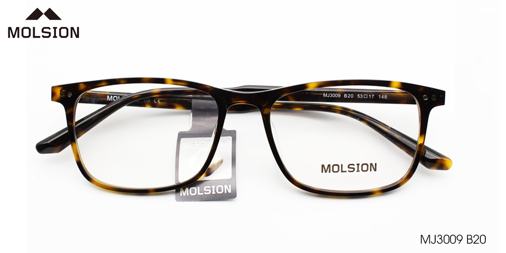 GỌNG KÍNH MOLSION MJ3009 B20 - Hover
