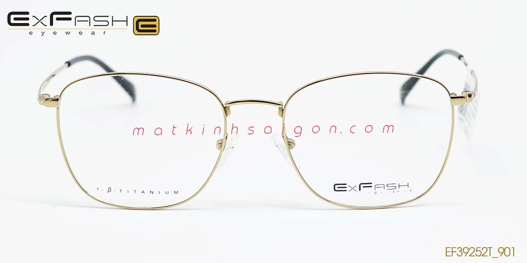 GỌNG KÍNH HỢP KIM EXFASH EF39252T_901 - Hình 3