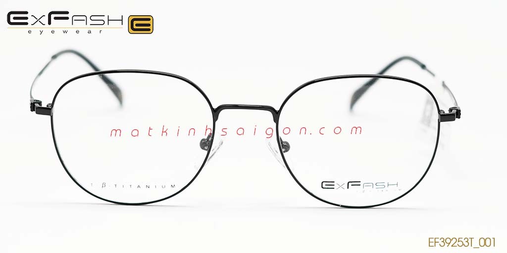 GỌNG KÍNH HỢP KIM EXFASH EF39253T_001 - Hình 3