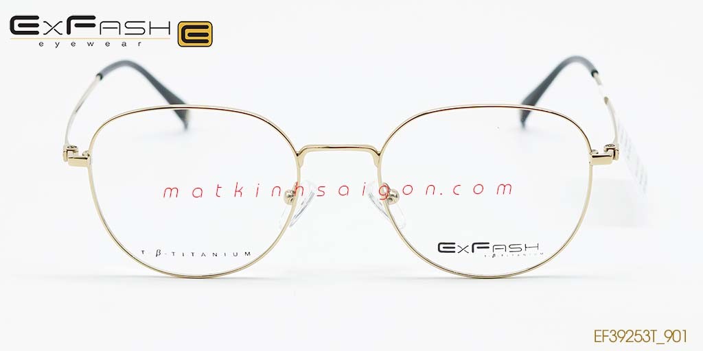 GỌNG KÍNH HỢP KIM EXFASH EF39253T_901 - Hình 3