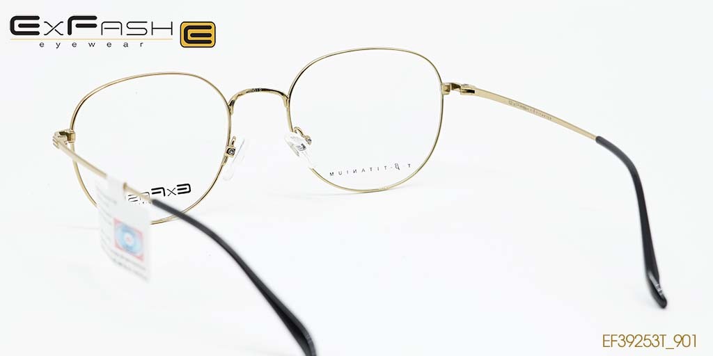 GỌNG KÍNH HỢP KIM EXFASH EF39253T_901 - Hình 4