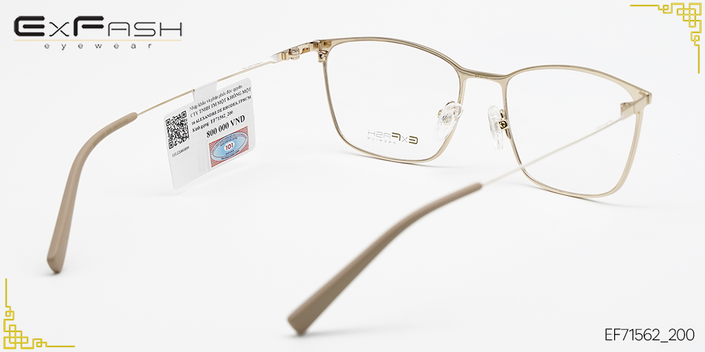 Gọng Kính Hợp Kim Exfash EF71562_200 - Hình 4