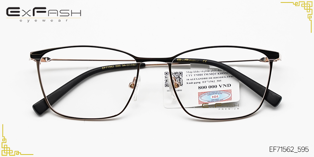 Gọng Kính Hợp Kim Exfash EF71562_595 - Hover