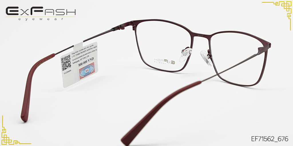 Gọng Kính Hợp Kim Exfash EF71562_676 - Hình 4
