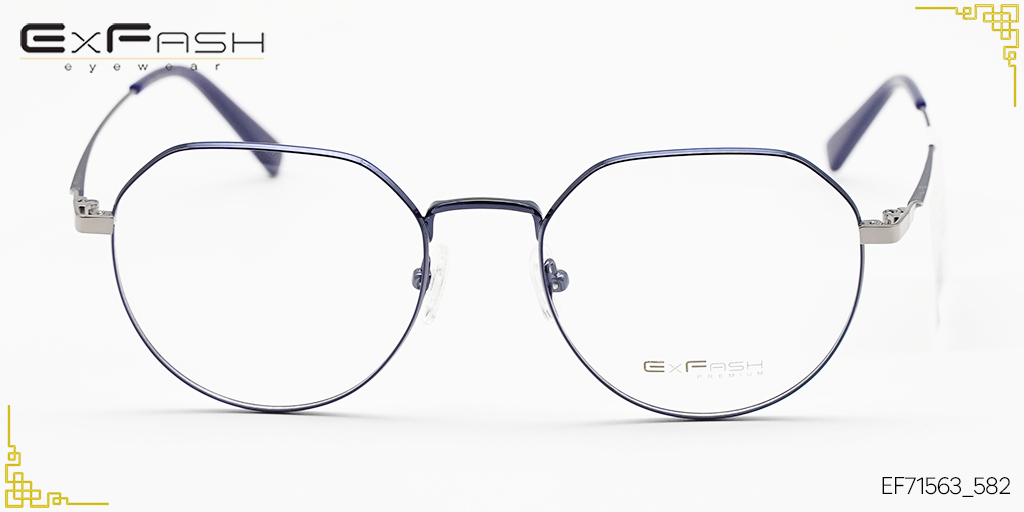 Gọng Kính Hợp Kim Exfash EF71563_582 - Hình 3