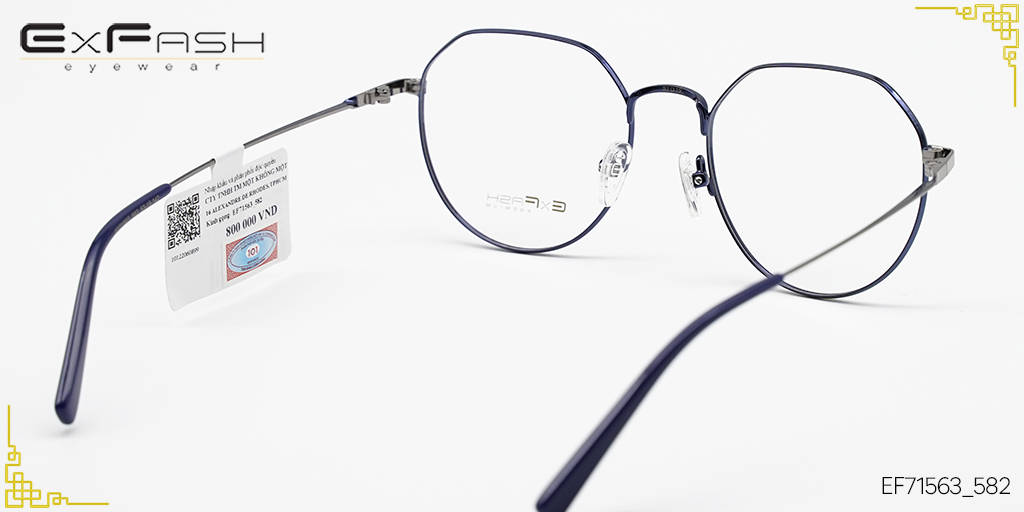 Gọng Kính Hợp Kim Exfash EF71563_582 - Hình 5