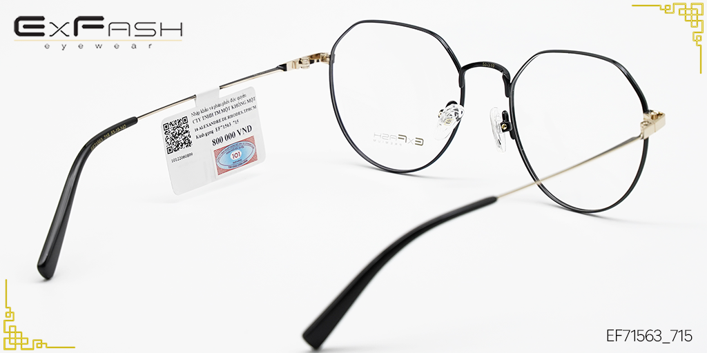 Gọng Kính Hợp Kim Exfash EF71563 715 - Hình 3