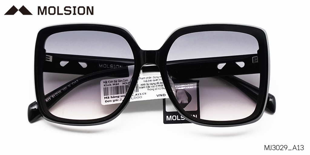 KÍNH MÁT NHỰA MOLSION MS3029 A13 - Hover