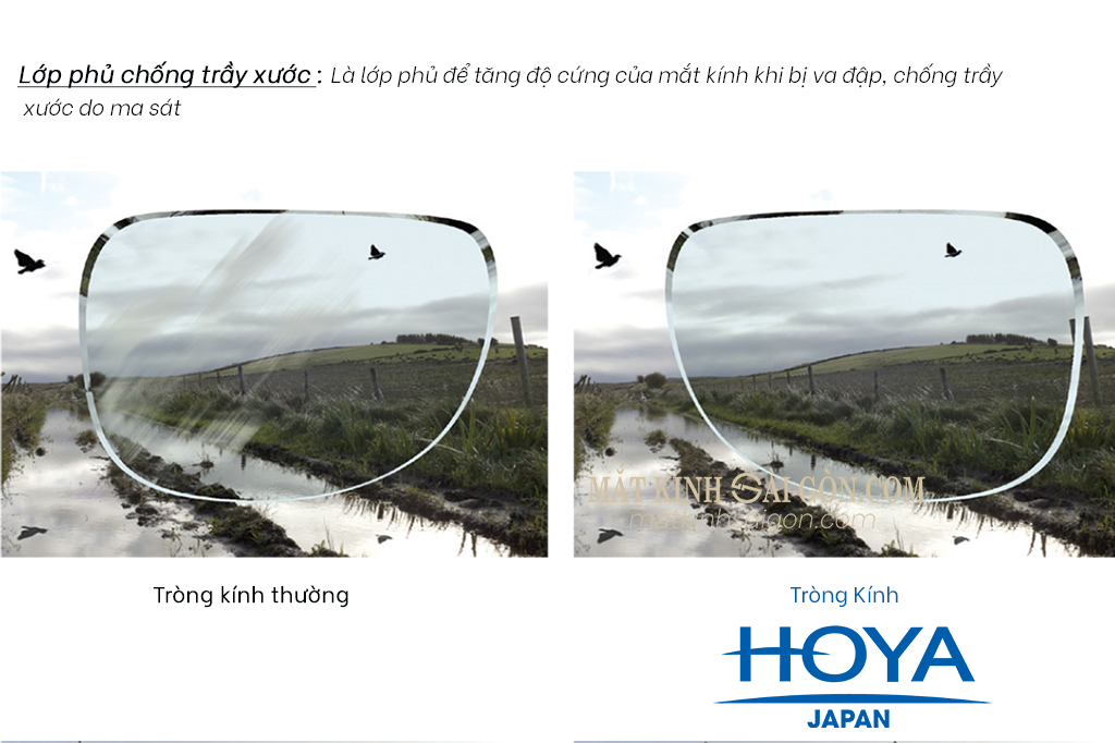 Tròng Kính 1.60 HOYA Stellfy BlueControl - Hình 8