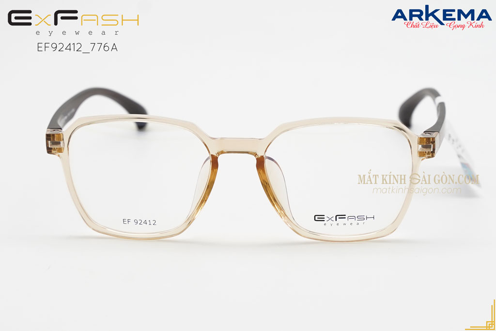 Gọng Kính Nhựa ExFash EF92412 776A - Hover