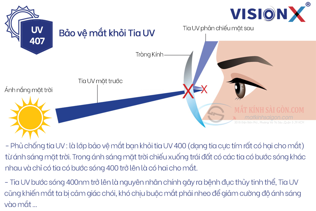 TRÒNG KÍNH 1.60 ĐỔI MÀU VISION X AS SUN PROTECT - Hình 11