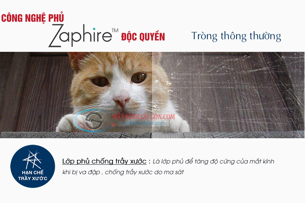 Tròng Kính Đa Tròng 1.55 FreeVista Plus - Hình 9