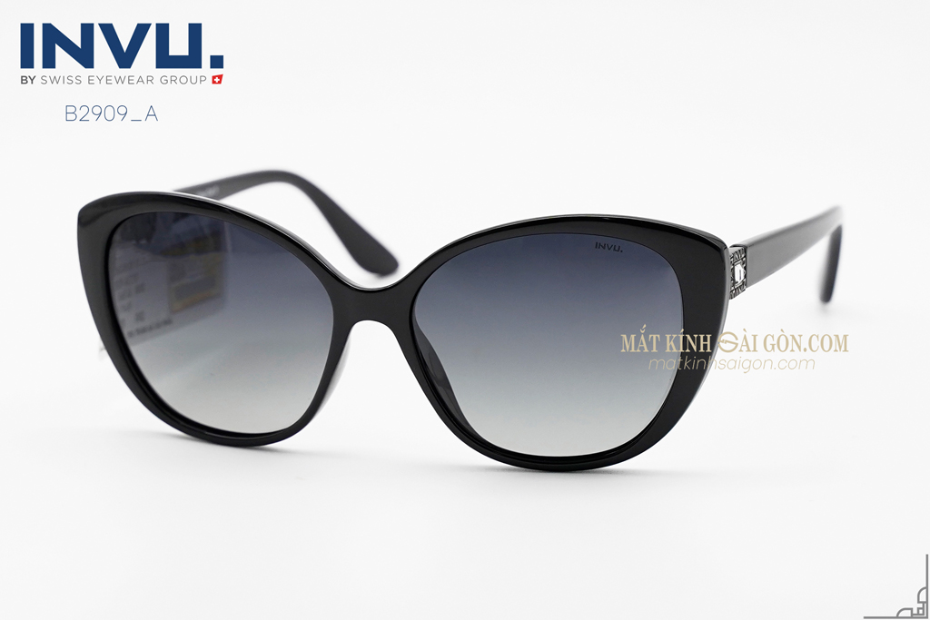 KÍNH MÁT INVU B2909 A
