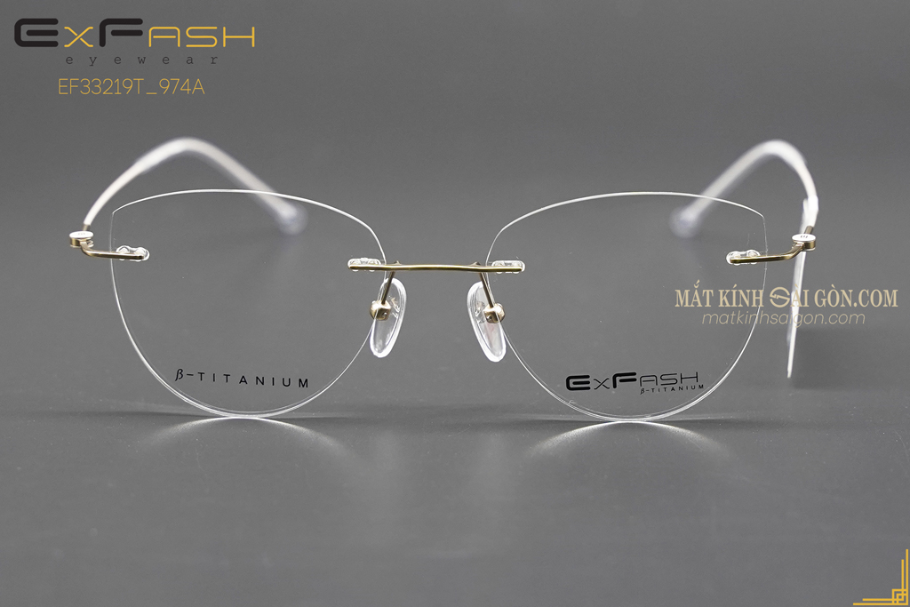 Gọng Kính ExFash EF33219T 974A - Hover
