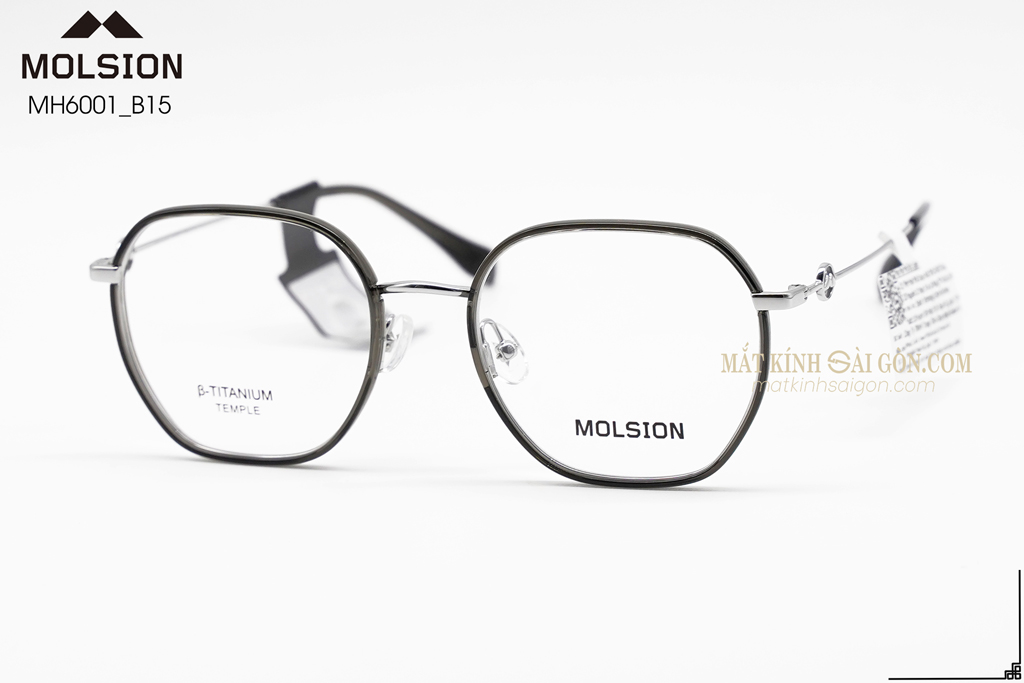 GỌNG KÍNH MOLSION MJ6152 B15