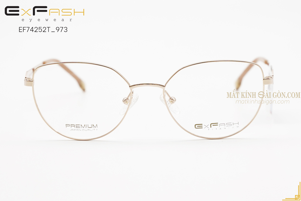 GỌNG KÍNH EXFASH EF74252T 973 - Hover