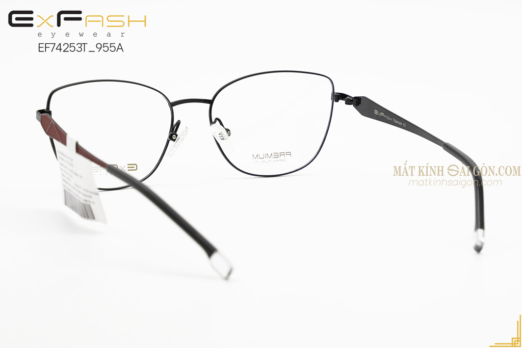 GỌNG KÍNH EXFASH EF74253T 955A - Hình 3