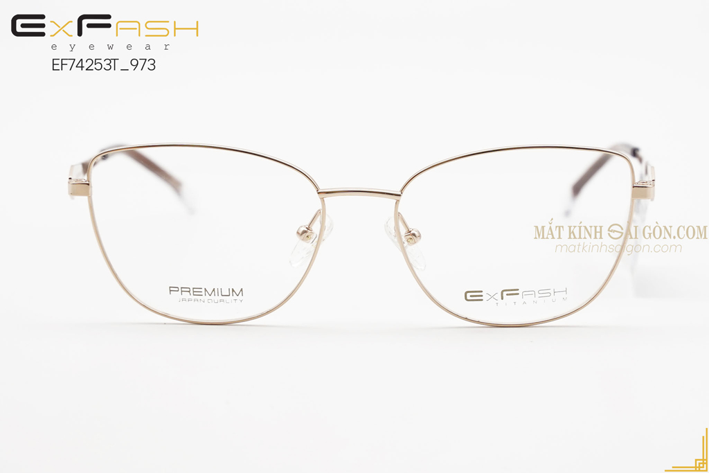 GỌNG KÍNH EXFASH EF74253T 973A - Hover