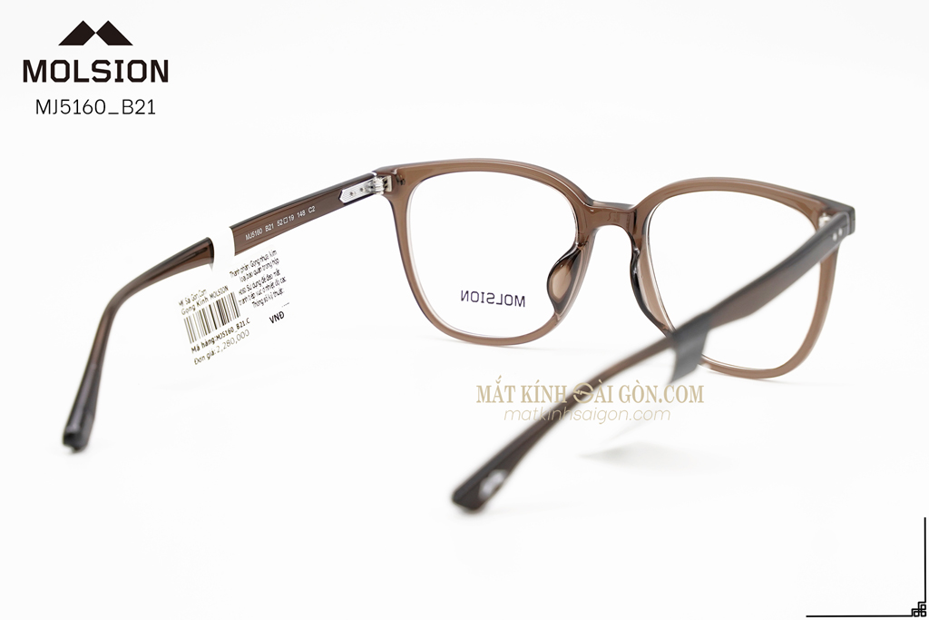 GỌNG KÍNH MOLSION MJ5160 B21 - Hình 4
